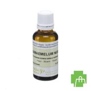 Camomille Noble Hle Ess 30ml Pranarom