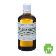 Gaultherie Couchee Hle Ess 100ml Pranarom