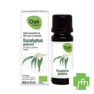Oak Ess Olie Eucalyptus Globulus 10ml Bio