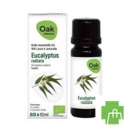 Oak Ess Olie Eucalyptus Radiata 10ml Bio