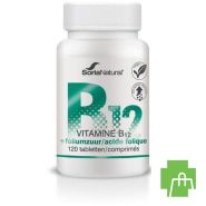 Soria Vitamine B12+foliumzuur 250mg Tabl 120
