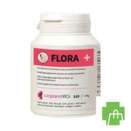 Flora + Pot Caps 120