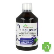 Vitasilicium Fl 500ml