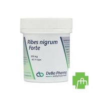 Ribes Nigrum V-caps 60 Deba