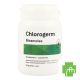 Chlorogerm Pot Comp 60